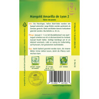 Mangold Amarilla de Lyon 2