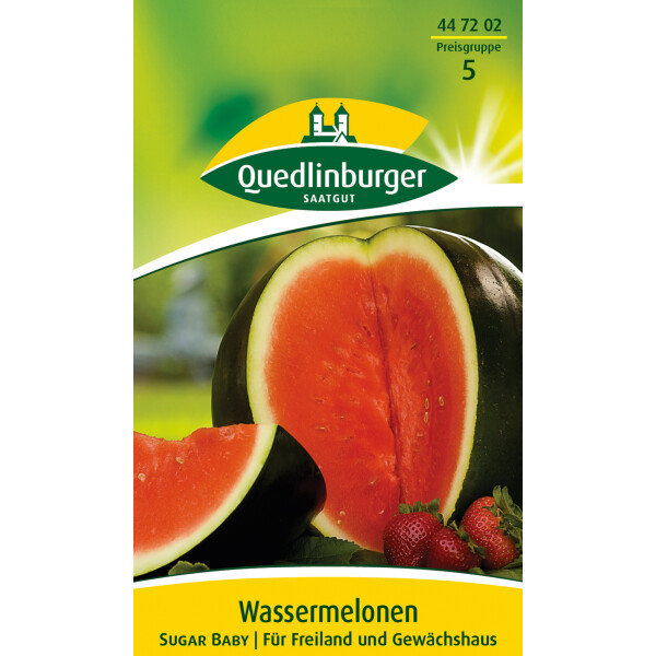 resistent Melonen Obst Samen Zuckermelone Gandalf F1 zuckersüße Profisorte 