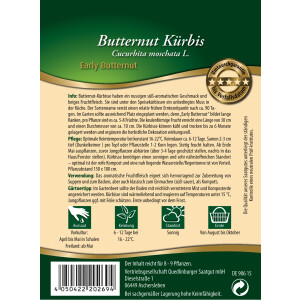 Butternut-Kürbis Early Butter