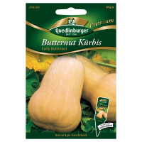 Butternut-Kürbis Early Butter
