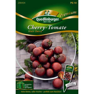 Cherry-Tomaten Black Cherry