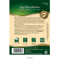 Topf-Busch-Bohnen Amethyst