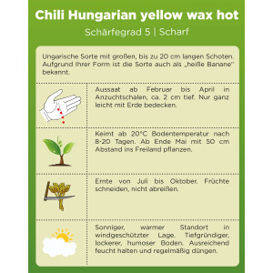 Chili Hungaria yellow wax hot