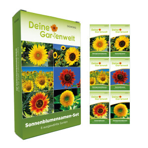 Sonnenblumensamen-Set mit 6 Sorten