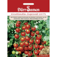 Kirsch-Tomaten Supersweet 100 F1